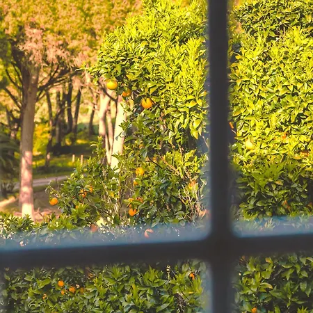 Дом отдыха Casas Do Alpendre Обидуш