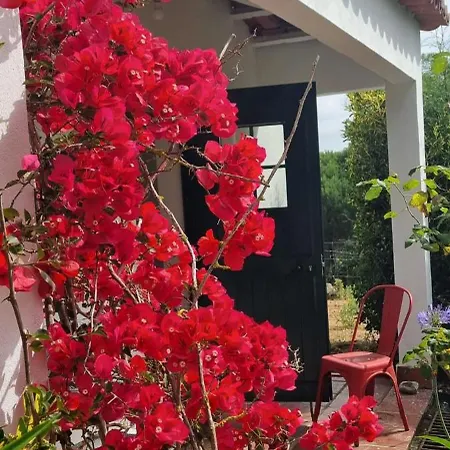 Casas Do Alpendre *