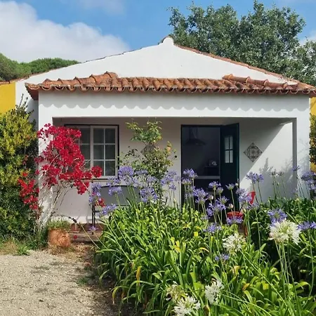 Casas Do Alpendre * Obidos