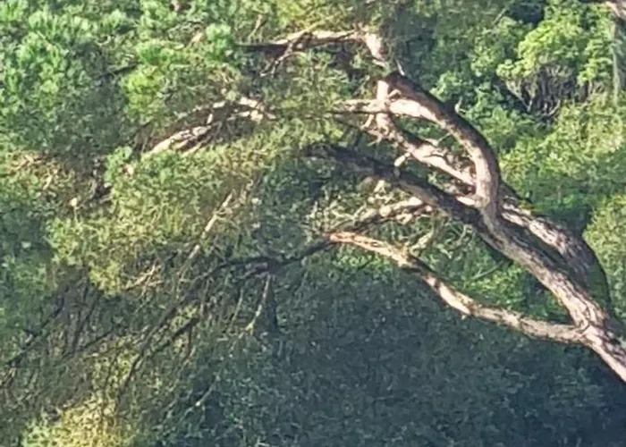 Casas Do Alpendre Tatil Evi *