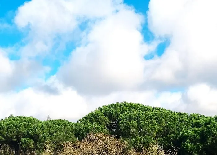 Casas Do Alpendre Óbidos