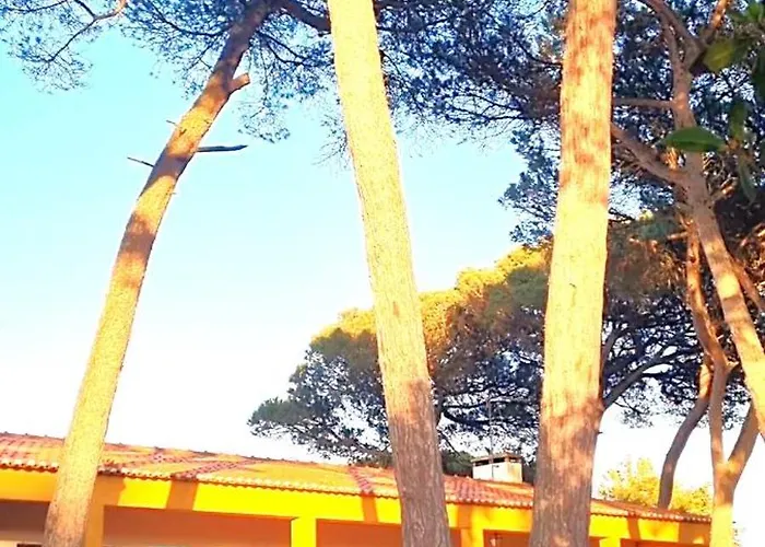 Tatil Evi Casas Do Alpendre