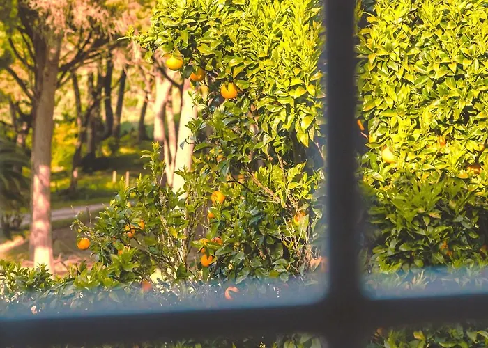 Tatil Evi Casas Do Alpendre Óbidos
