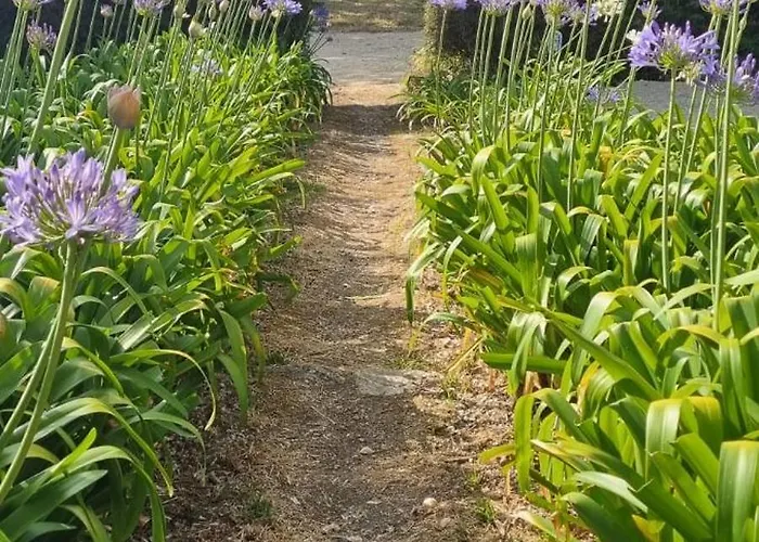 Casas Do Alpendre Óbidos